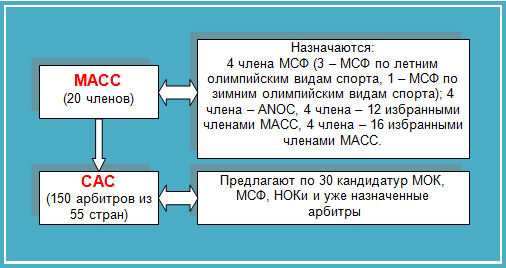 Рис.1. Организационно-управленческая структура МАСС-САС.