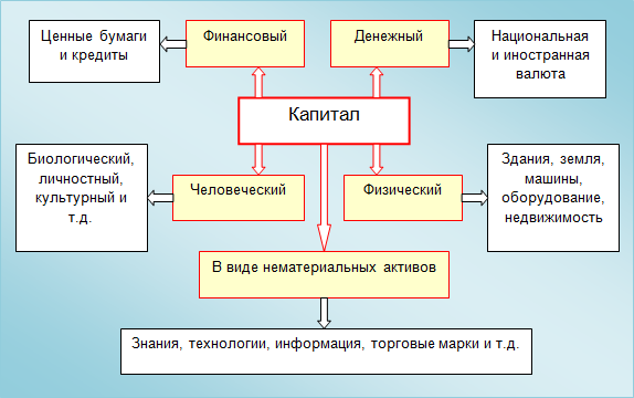 Рис.1 Структура и виды капитала в широкой интерпретации