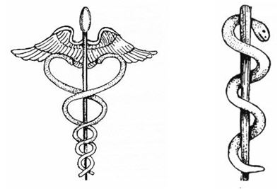 Рис.5.1. Кадуцей (жезл Меркурия), и посох со змеей, символизирующие медицину со времен ранней античности
