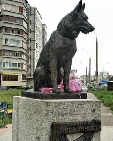 Памятник псу Верному в Тольятти